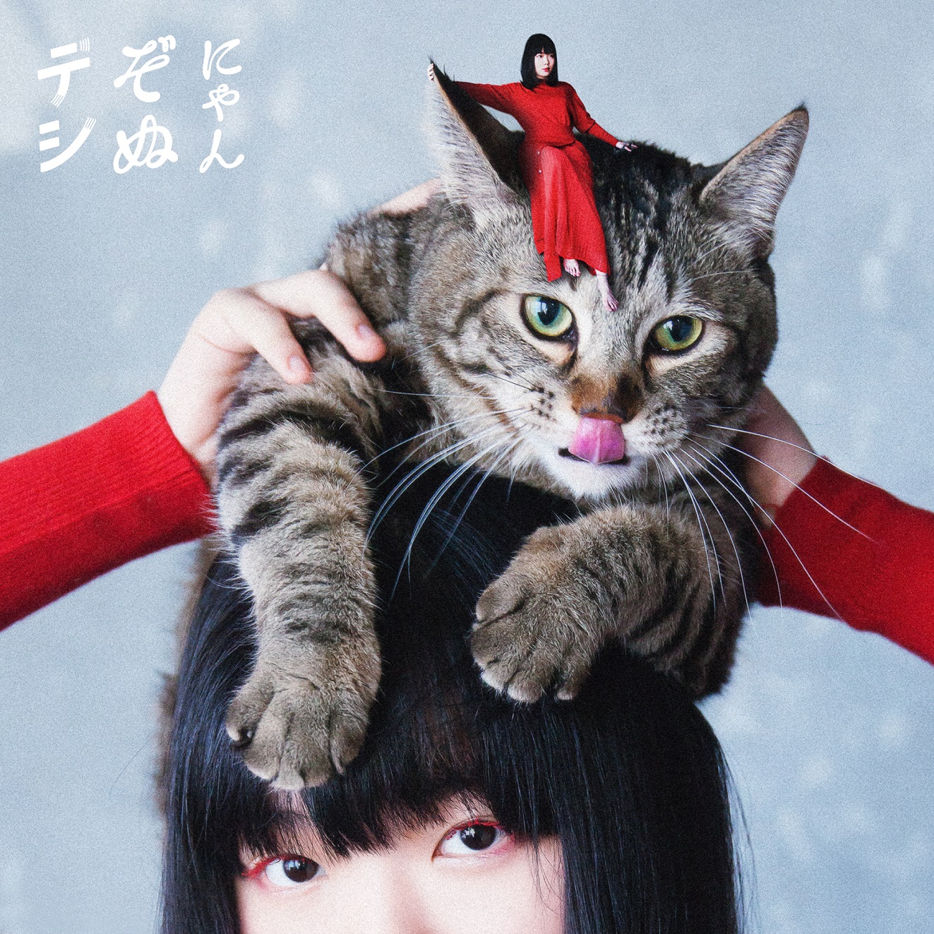 nyanzonudeshi_cover.jpg